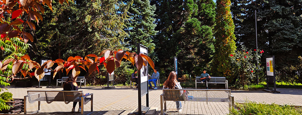 nbu-main_1050x399_crop_478b24840a