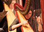 2533494_86x64_crop_478b24840a