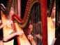 2533532_86x64_crop_478b24840a