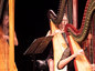 2533554_86x64_crop_478b24840a
